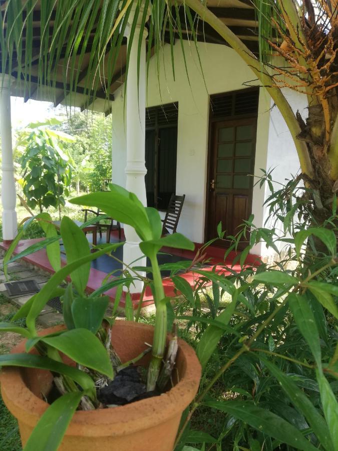 Bay Hill Guest House 坦加拉 外观 照片