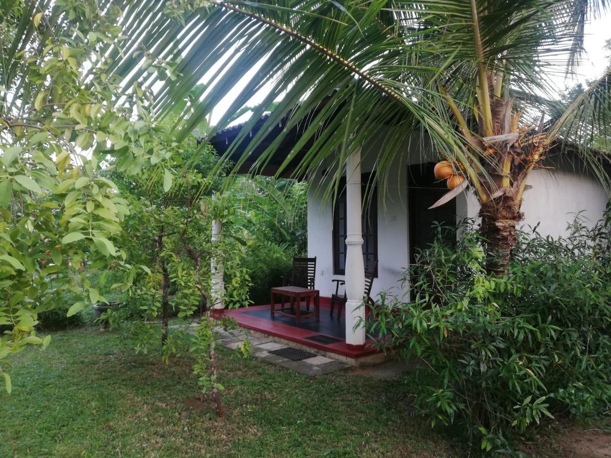 Bay Hill Guest House 坦加拉 外观 照片