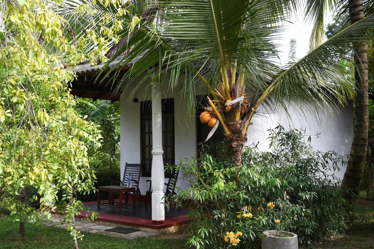 Bay Hill Guest House 坦加拉 外观 照片