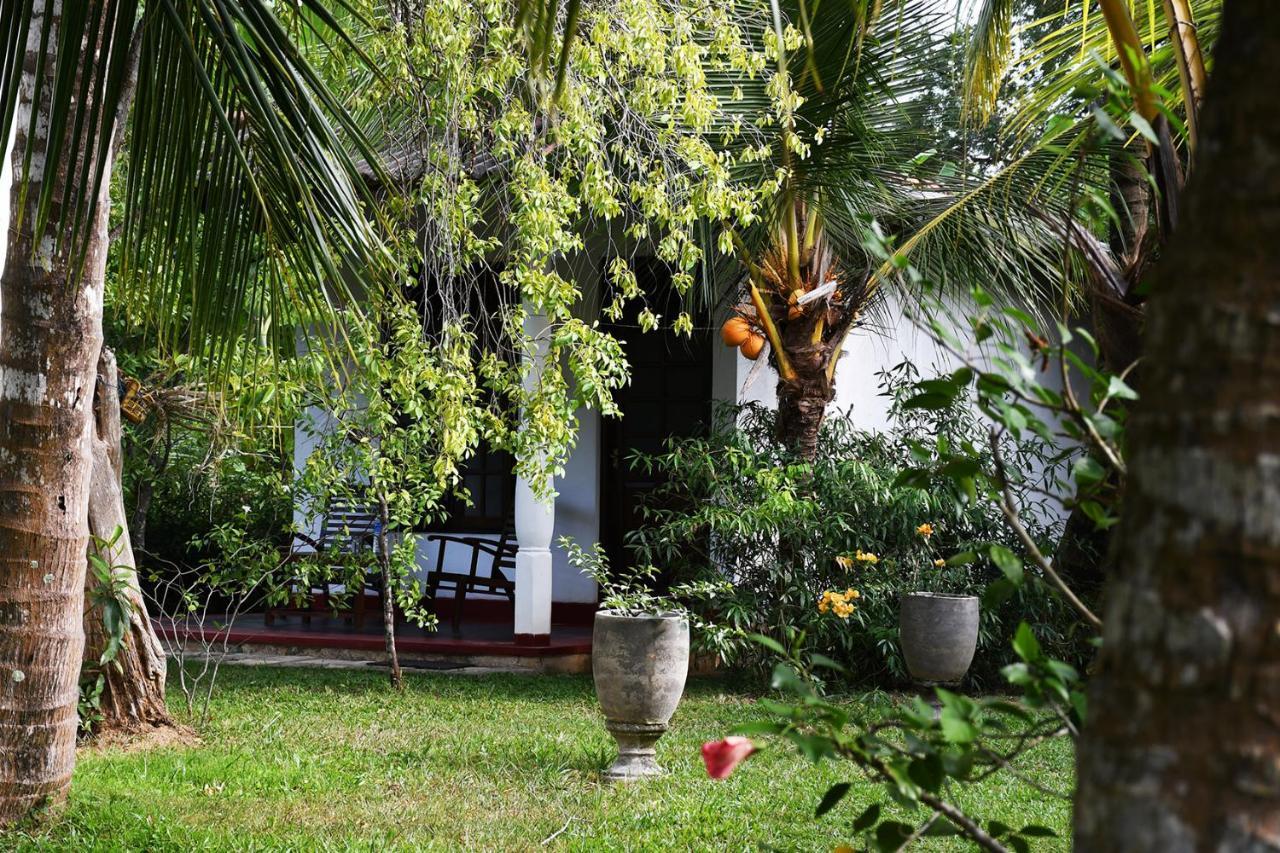 Bay Hill Guest House 坦加拉 外观 照片