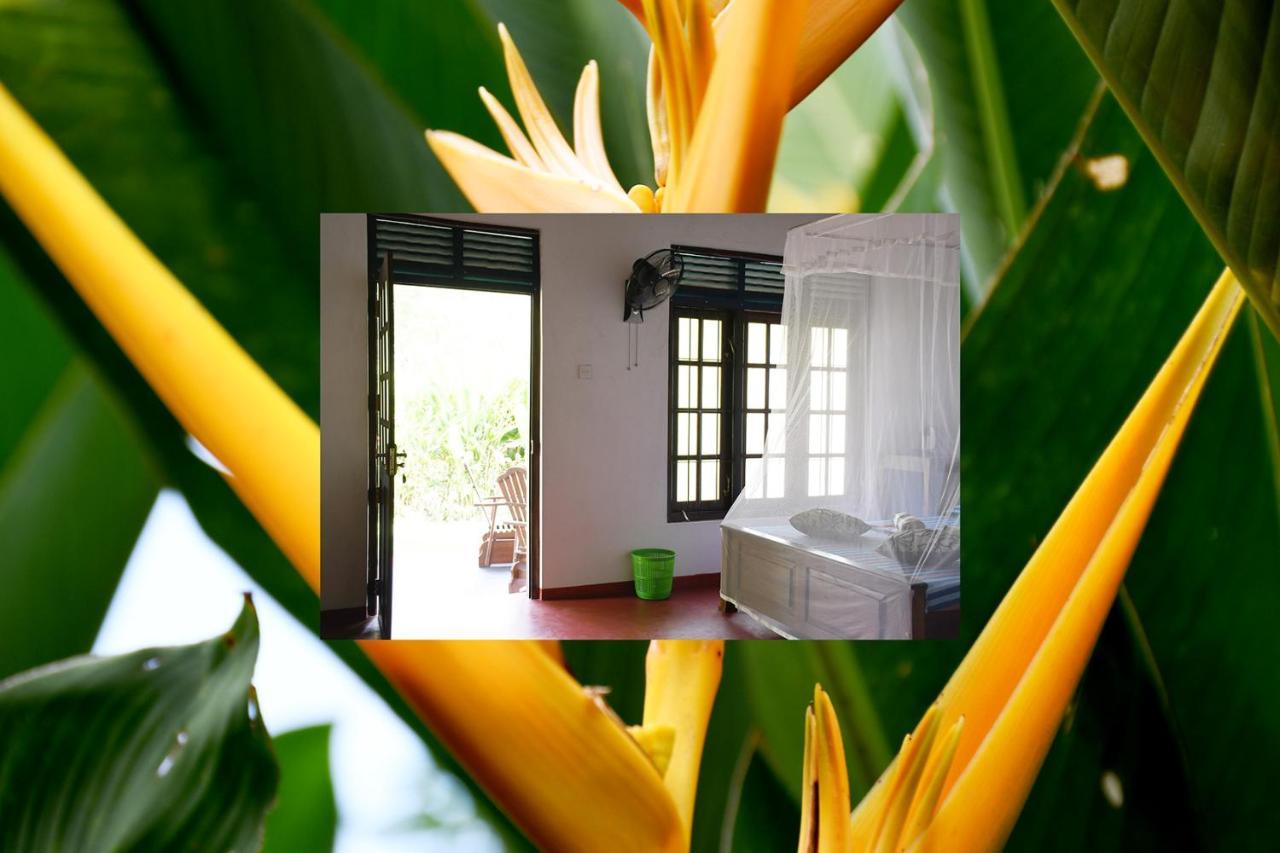 Bay Hill Guest House 坦加拉 外观 照片