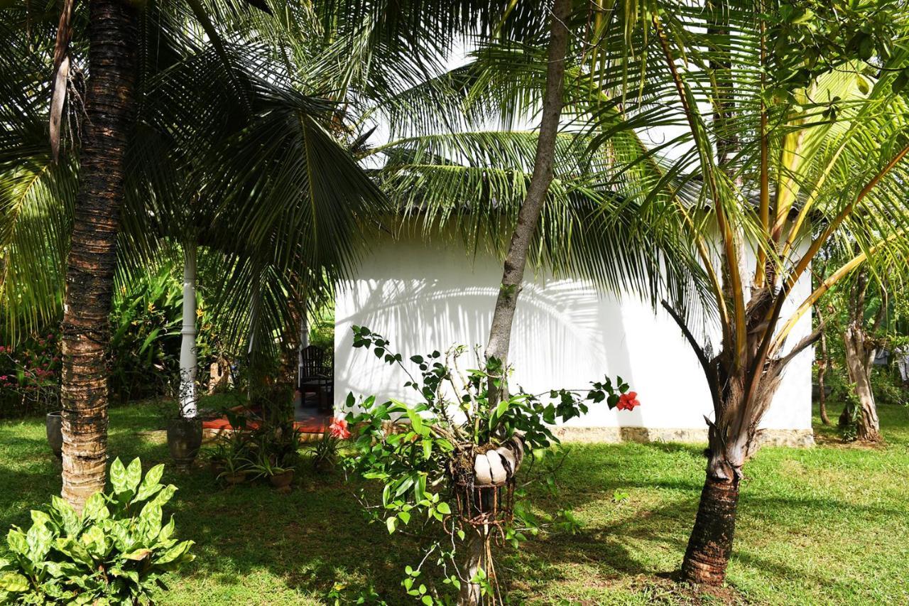 Bay Hill Guest House 坦加拉 外观 照片
