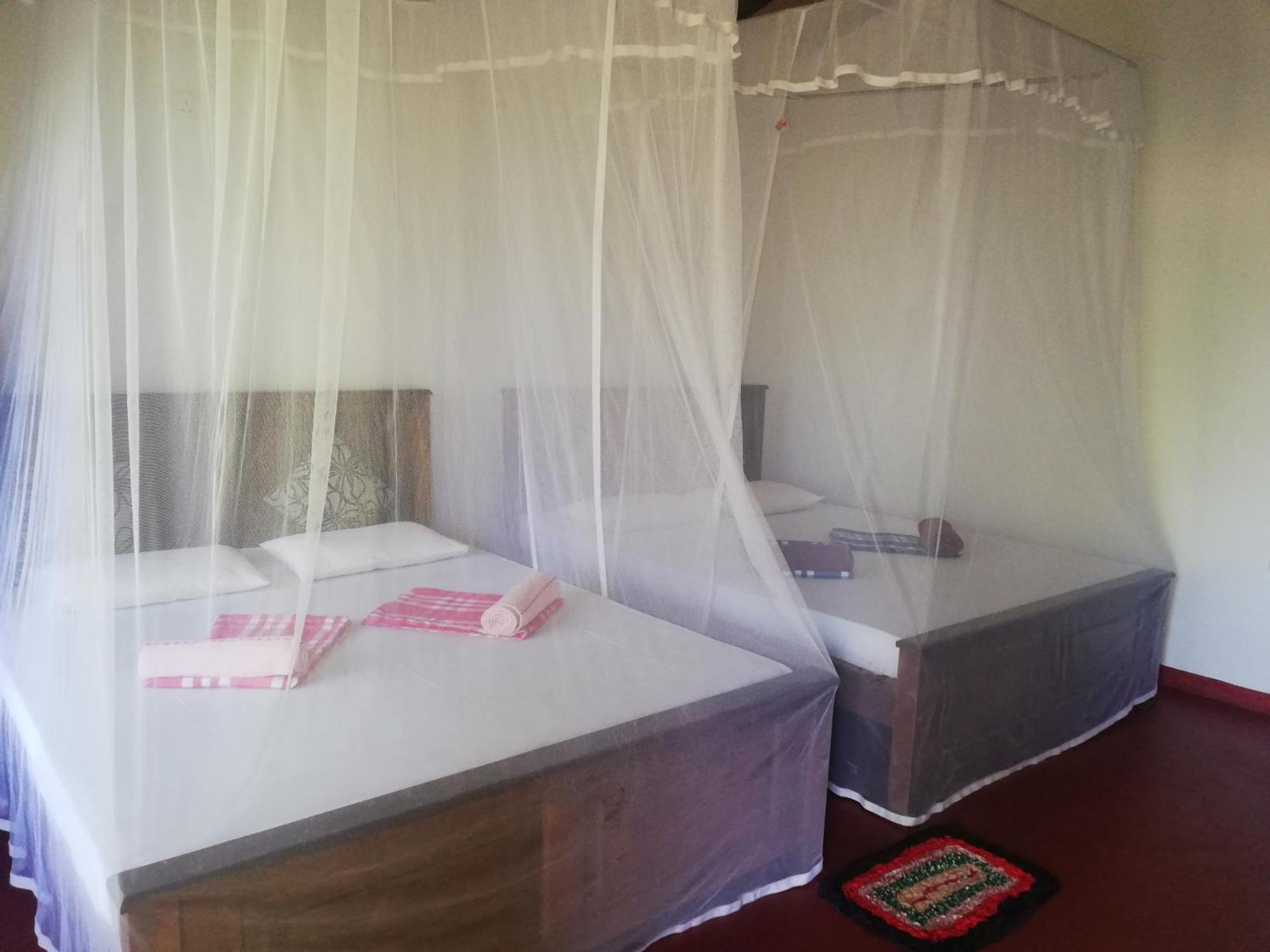 Bay Hill Guest House 坦加拉 客房 照片